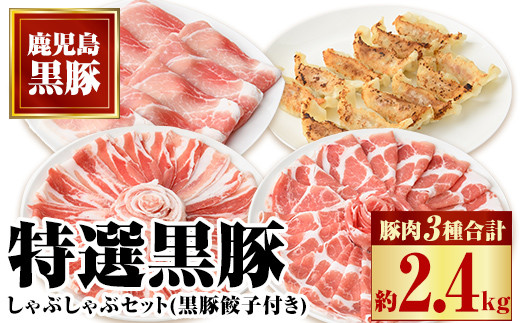 
                  C02047 特選黒豚しゃぶしゃぶセット(合計2.4kg)＋黒豚餃子(12個×3P)付き！ 鹿児島 国産 九州産 豚肉 黒豚 お肉 餃子 水餃子 ギョーザ しゃぶしゃぶ ギフト 贈答【和田養豚】
                