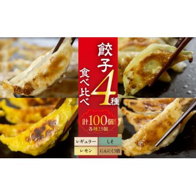 ふるさと納税 豊橋市 【国産】餃子4種食べ比べセット