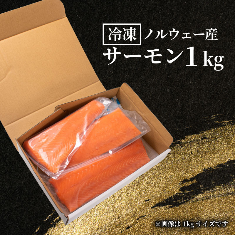 訳あり サーモンブロック 1? 冷凍 刺身 鮭 サーモン さーもん 切り身 フィレ 生食 生食用 お刺し身 魚介 海鮮 お魚 魚 サーモン 不揃い 美味しいサーモン サーモンカルパッチョ サーモン料理
