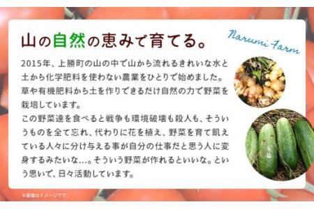 山茶 桑 1パック NARUMIFARM《30日以内に出荷予定(土日祝除く)》お茶 茶 ハーブティー 自然栽培 ブレンドティー ブレンド オーガニック 飲料 飲み物 お家時間 徳島県 上勝町 送料無料