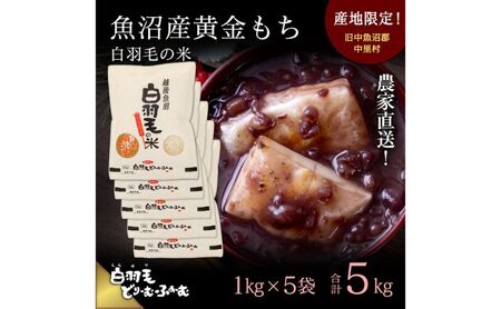 【通年受付】≪令和7年産≫ 農家直送！魚沼産黄金もち「白羽毛の米」精米(1kg×5袋) 5kg お米 白米 