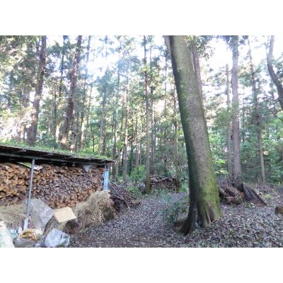 ふるさと納税 蓮田市 篠山堂　翁味噌セット(5種) |  | 03
