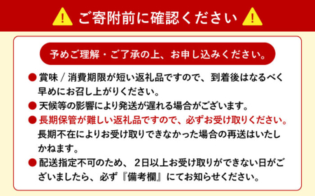 生紫うに 60g×1本 [JBD054] うに ウニ