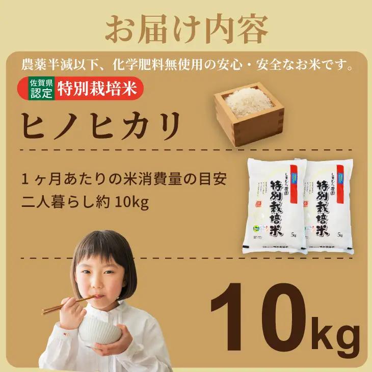 令和7年度産  もっちり艶々 特別栽培米 ヒノヒカリ（5㎏×2袋）しもむら農園  D300-013