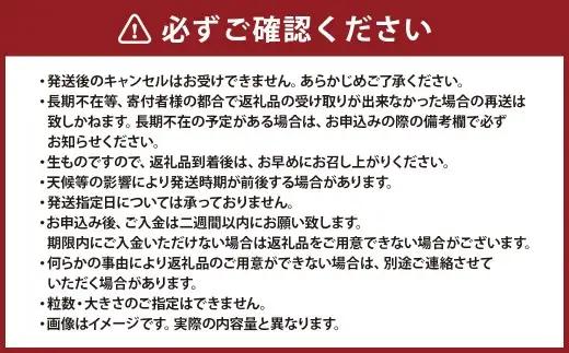【2027年1月下旬発送開始】1年に1度だけ!葉付きで味わうサラダ玉ねぎ／2kg（優品・サイズ混合）＜栽培期間中は無農薬・無化学肥料栽培／熊本県水俣市産／耕人舎＞ 玉ねぎ たまねぎ タマネギ 玉葱 野