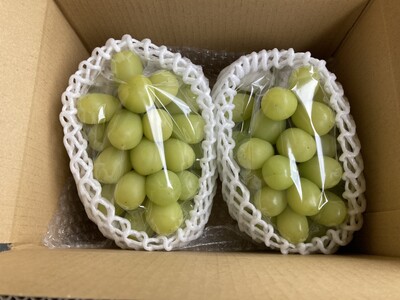 シャインマスカット 約1kg(2房 ~ 3房) ｜ シャインマスカット