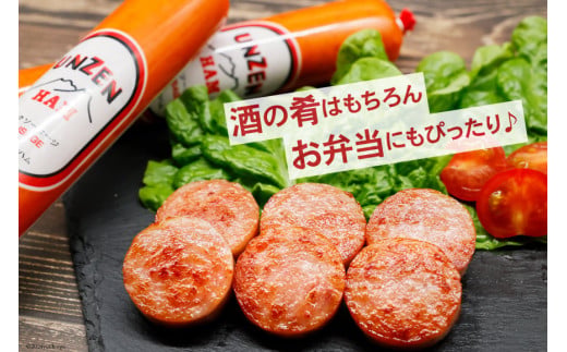 BI002 雲仙ハム ソーセージ 小 300g×2本[ 絶品 人気 ハム ウインナー ソーセージ おつまみ 肉 お弁当 おかず 小分け 便利 国産 豚肉 お歳暮 お中元 長崎県 島原市 送料無料 ]