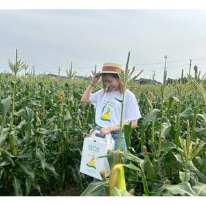 【2026年6月～7月順次発送】とうもろこし 約5kg 甘々娘(訳あり) 朝採り スイートコーン【配送不可地域：離島・北海道・沖縄県・東北・中国・四国・九州】【1713800】