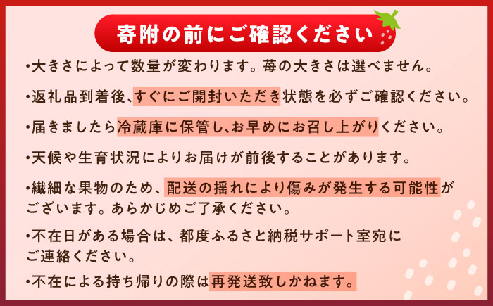 【先行予約】【2027年1月上旬より順次発送】 いちご 250g×4パック / いちご 苺 イチゴ 国産 / 恵那市 / 阿部農園 [AUGA003]