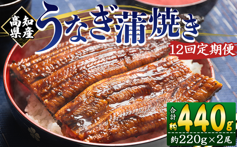 【１２回定期便】高知県産養殖うなぎ蒲焼き 約220g×2尾 Wfb-0064