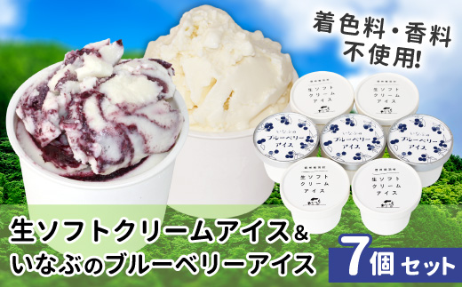 ふわっと軽い！着色料・香料不使用★ 生ソフトクリームアイス & いなぶのブルーベリーアイス　(80ml)×7個セット アイスクリーム  根羽村 ネバーランド 6000円