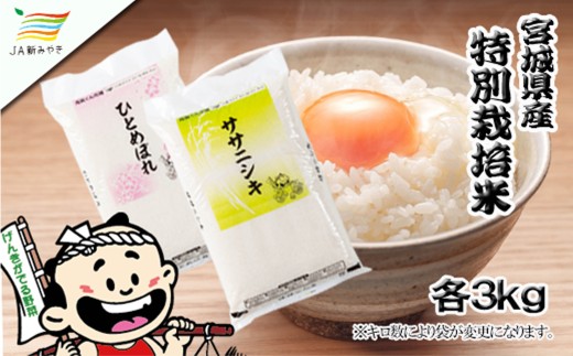 元気くん市場  宮城の美味しいお米食べ比べセット（Ａ） /  精米 小分け 人気 ランキング  お米 米 つや姫【mygs007】