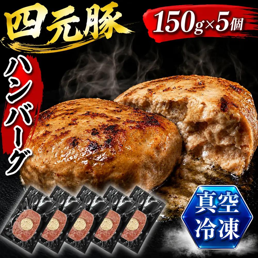 国産 四元豚 ハンバーグ 150g×5個｜ 小分け 真空パック 「ありすぽーく」