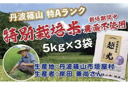 【令和7年産 2025年9月以降、順次発送】コシヒカリ　丹波篠山産　特別栽培米　越光（農薬不使用）（5ｋｇ×3袋） 白米 100％単一原料米 産地直送米 贈答 おいしいコシヒカリ お米 精米 コシヒカリ ブランドコシヒカリ おこめ 健康 ギフト 内祝い 贈り物 送料無料 おすすめコシヒカリ 人気 口コミ こしひかり　コメ [Y079]