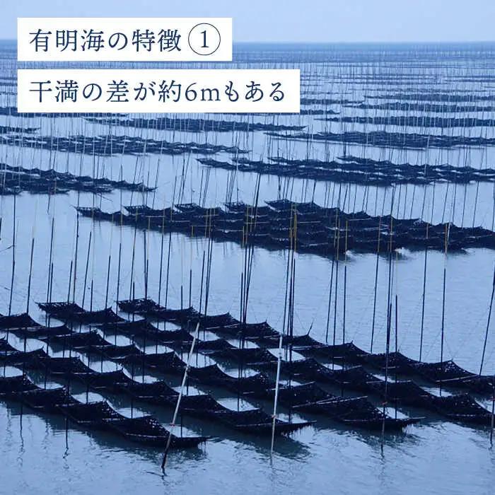 佐賀海苔 ボトル 2本セット 塩海苔 海苔[FBC037]