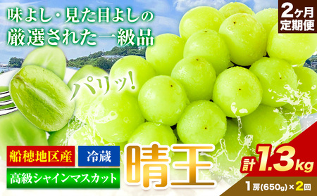 高級 シャインマスカット 2ヶ月 定期便【先行予約】ぶどう 晴王 1房650g×2ヶ月 計1.3kg 岡山県産《9月上旬-10月末頃出荷(土日祝除く)》 ハレノフルーツ マスカット 送料無料 岡山県 浅口市 フルーツ 果物 贈り物 ギフト 国産 岡山県産【配送不可地域あり】（北海道・沖縄・離島）
