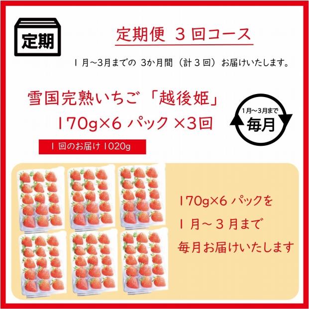 定期便 3回【1～3月発送】雪国完熟いちご越後姫 170g×6全3回 定期配送 越後姫 いちご 定期便 完熟 苺 新潟