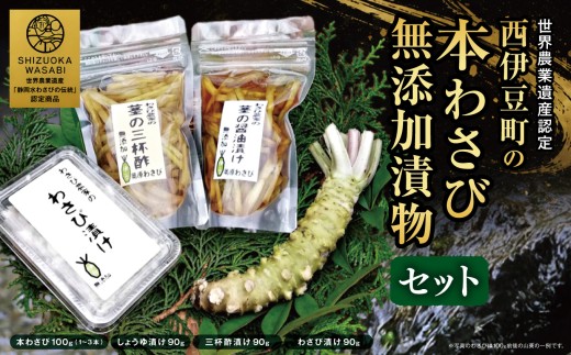 【世界農業遺産認定】西伊豆町の本わさび・無添加漬物セット（岡原わさび） 【12月・1月除く】 西伊豆町 天城山 清流 わさび 本わさび しょうゆ漬け 三杯酢漬け わさび漬け 無添加 お刺身 さしみ ステーキ 薬味 冷蔵 西伊豆 伊豆 ギフト お歳暮 お中元
