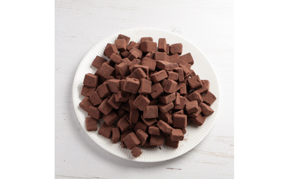 訳あり 濃厚生チョコレート 約780g（割れ・不揃い） 冷凍便