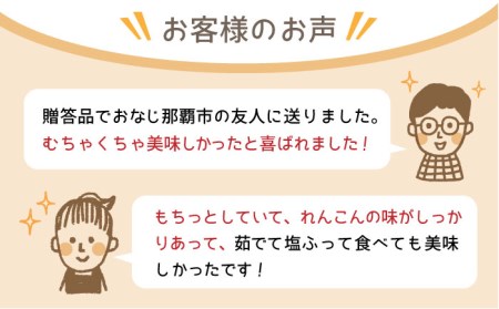 【先行予約】年末発送 泥付きれんこん3kg / れんこん レンコン 蓮根 れんこん レンコン れんこん れんこん [IAW003]