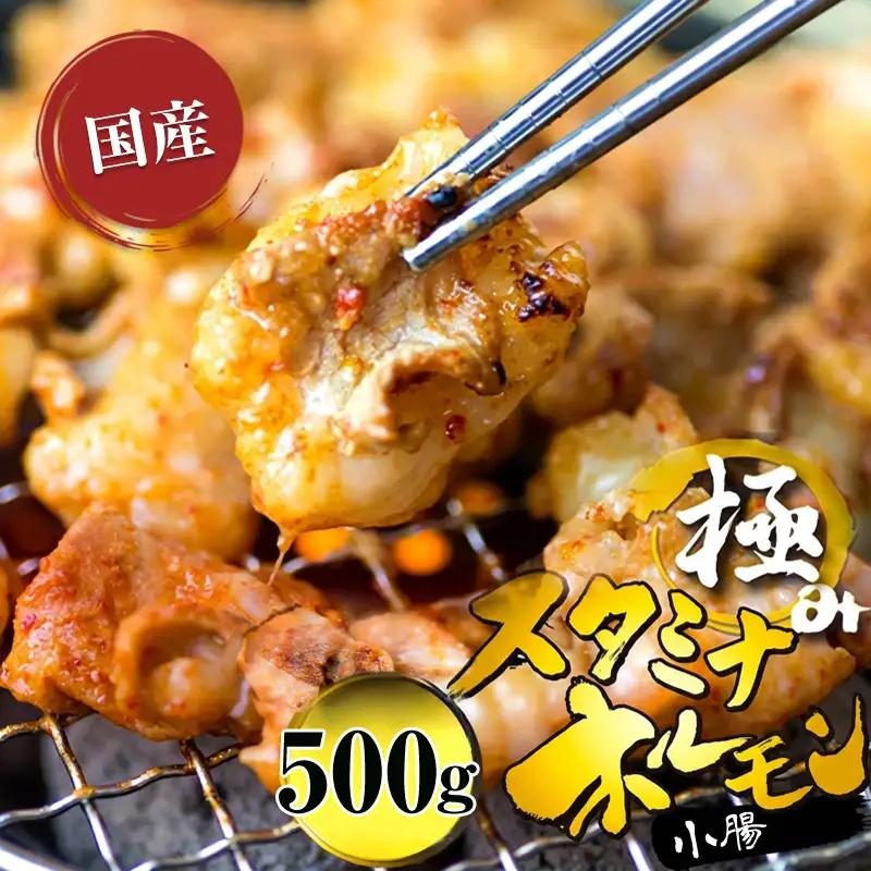 国産 極みのスタミナホルモン 小腸 タレ揉み 500g ： ホルモン 国産ホルモン