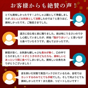 乙女ブリ刺身用 柵600以上 小島水産 乙女ブリ 新鮮ブリ 刺身 ブリしゃぶ 鰤 ブリ鍋