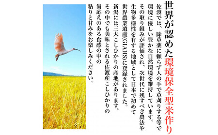 【令和8年産新米　定期便・先行予約】佐渡産コシヒカリ 無洗米真空パック 900g×6袋　全12回