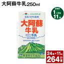 【ふるさと納税】【定期便】【1ヶ月毎11回】大阿蘇牛乳 250ml 24本 計264本（24本×11回） 牛乳 ミルク 成分無調整牛乳 乳飲料 乳性飲料 熊本県産 国産 九州 熊本県 菊池市 送料無料