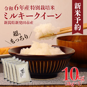 令和6年産 特別栽培米 ミルキークイーン 10kg 2kg×5袋 米 白米 ご飯 料理 おにぎり 弁当 新潟県 新潟産 新発田産 ミルキークイーン 佐々木耕起組合 2kg 特別栽培米 新潟県 新発田市 新米 非常食 備蓄 sasakikoki002 