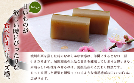 ＜和栗とはちみつのちっちゃいようかん 6個入り＞ 栗 くり 羊羹 ようかん 城川和栗 蜂蜜 はちみつ ハチミツ スイーツ おやつ お菓子 和菓子 ティータイム ひと時 城川ファクトリー 愛媛県 西予市