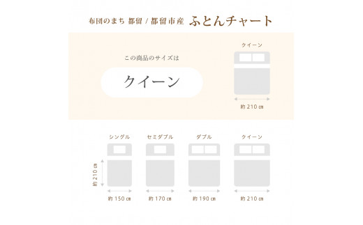 羽毛布団【イングランド産ホワイトダウン90%】羽毛掛け布団 220×210cm クィーン【ダウンパワー360】　羽毛　ダウン　布団　ふとん　クイーン　
