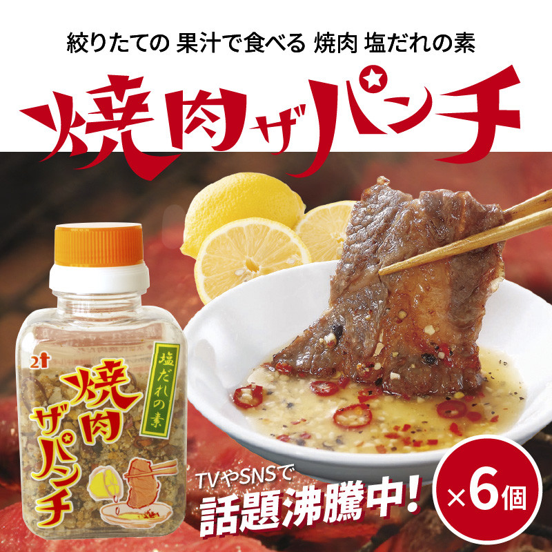 
塩だれの素 焼肉ザパンチ 6個_M169-002
