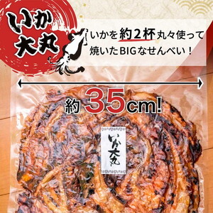 ドカ～ンと1100g！ BIGなイカの鉄板焼きと光栄堂人気えびせんべい13袋の詰合せ ※着日指定不可 ※北海道・沖縄・離島への配送不可◇