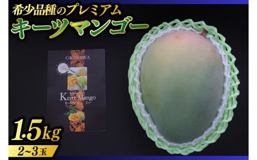 【2026年8月より順次発送】稀少プレミアム！！豊見城市産キーツマンゴー 約1.5kg(2〜3玉)｜マンゴー キーツマンゴー フルーツ 果物 くだもの 先行予約 沖縄 おきなわ 沖縄県 豊見城市(BV001-1)