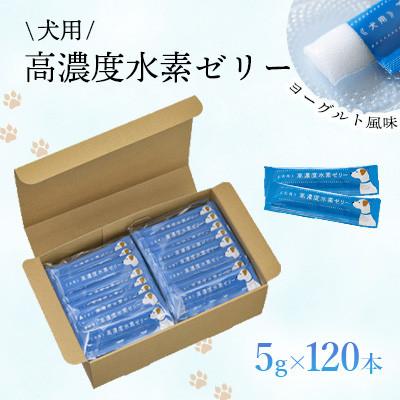 ふるさと納税 北九州市 【毎月定期便】高濃度水素ゼリー　犬用　5g×120本全3回