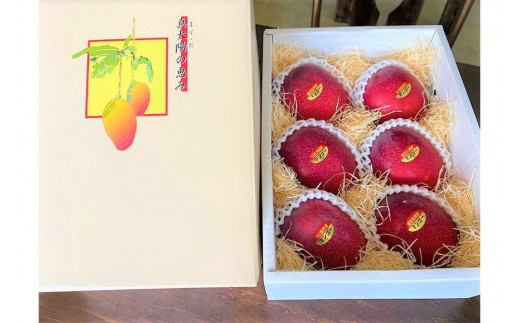 【2026年夏発送】＜贈答用＞インカジ・トゥ・パリ マンゴー 完熟マンゴー 約２kg（5玉～6玉)＜潮風の里＞(HA001)