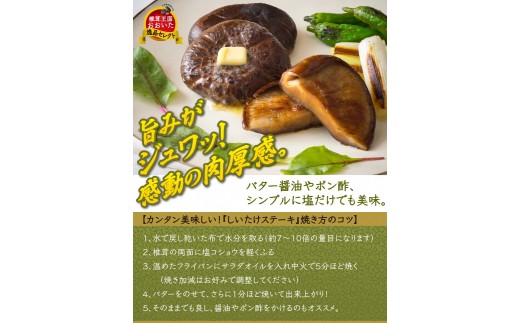まさに森のアワビ！ステーキ用肉厚乾し椎茸/香菇240g（1085Z）