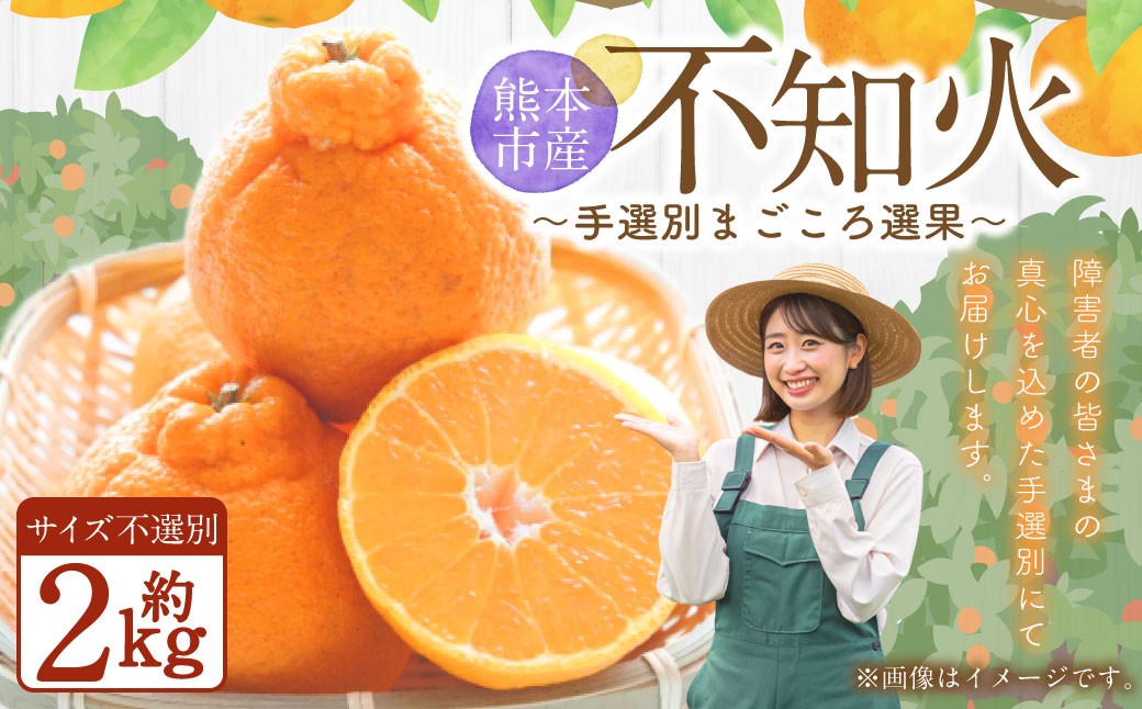 
                  不知火 (デコポンと同品種) 【手選別まごころ選果】 約2kg サイズ不選別【2027年2月上旬～4月上旬迄発送予定】
                