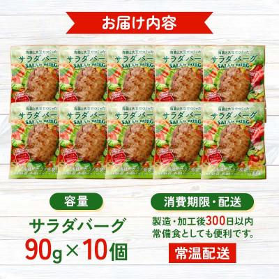 ふるさと納税 下仁田町 【原料は100%植物由来】こんにゃくと大豆で作ったサラダバーグ90g×10個 【ビーガン対応】 |  | 01