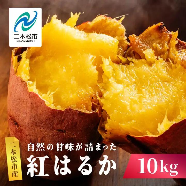 さつまいも 紅はるか 10kg ｜さつまいも【株式会社橋本】