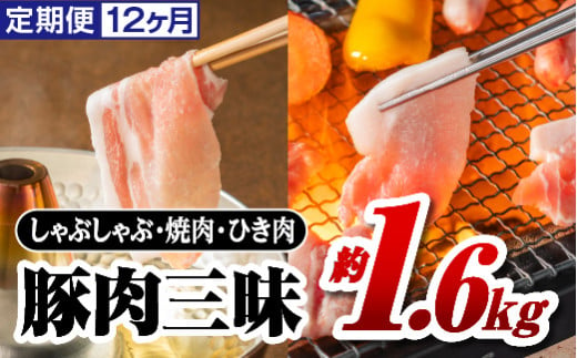 定期便 12ヶ月 まる姫ポーク 豚肉三昧 約1.6kg(肩ロース バラ モモ切り落とし 粗ミンチ) 合計約19.2kg【AK-7】｜送料無料 国産 まる姫ポーク 豚肉 ぶた肉 肉 豚バラ肉 バラ肉 挽肉 ミンチ 切り落とし 焼き肉しゃぶしゃぶ 定期便 小分け パック 江津市｜