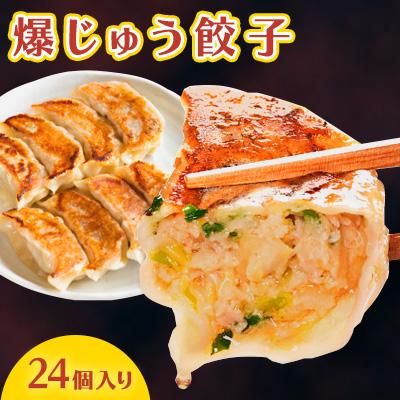 ふるさと納税 太田市 爆じゅう餃子　24個入り
