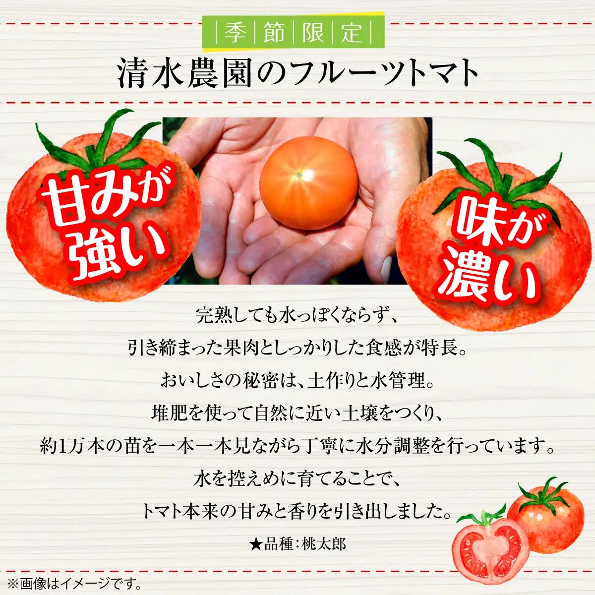 ＜2026年6月下旬よりお届け＞高糖度フルーツトマト　20玉以上【農園直送】北海道壮瞥産 SBTO003
