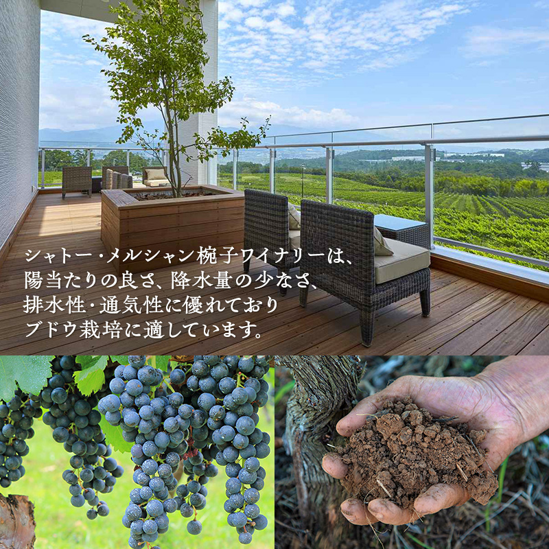限定 ワイン 椀子メルロー ブロック1 750ml 椀子ワイナリー限定品 シャトー・メルシャン メルロー 赤ワイン フルボディ お酒 酒 アルコール ギフト 贈り物 プレゼント