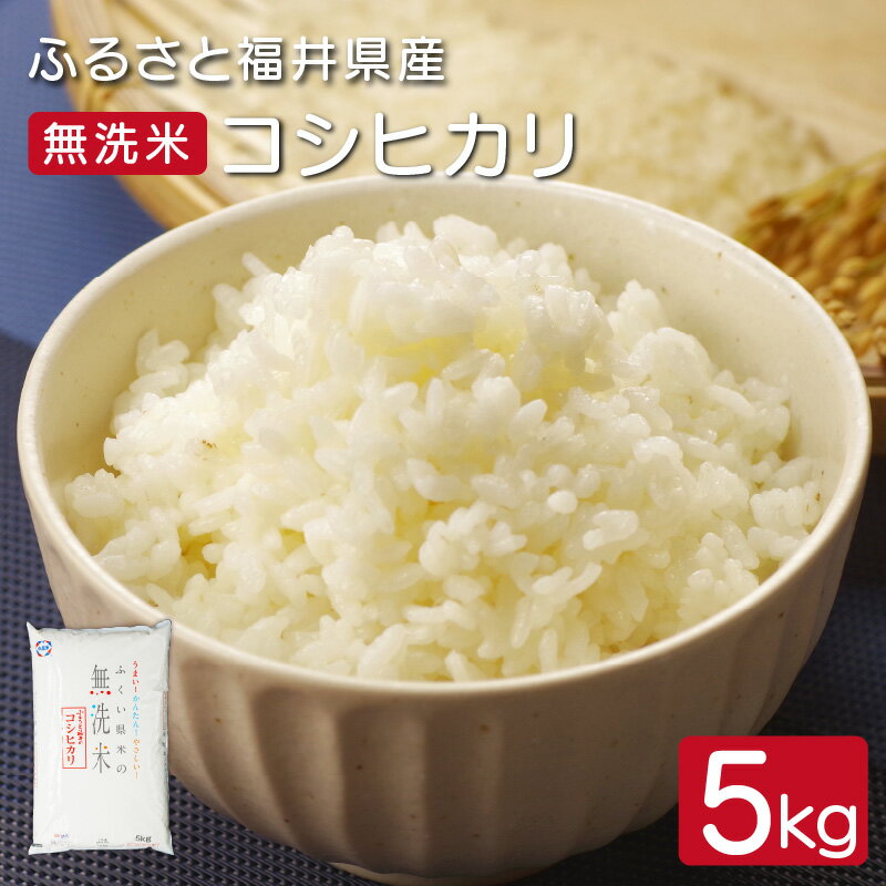 【ふるさと納税】新米 令和6年度産 無洗米 5kg 福井県産 コシヒカリ 発祥の地で心を込めて栽培されたコシヒカリ 甘くて艶があり、冷えても美味しい【無地のし対応可】【米 コメ こめ こしひかり ブランド 令和6年産 お中元 お歳暮 ギフト 贈り物 プレゼント】