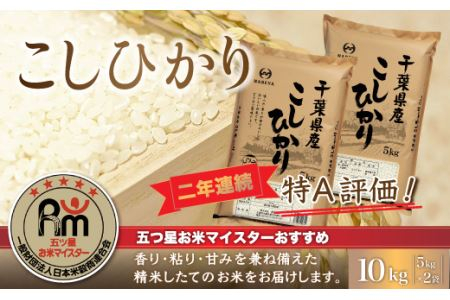 令和8年産 2年連続特A評価!千葉県産コシヒカリ10kg（5kg×2袋） お米 10kg 千葉県産 大網白里市 コシヒカリ 米 精米 こめ 送料無料 E001