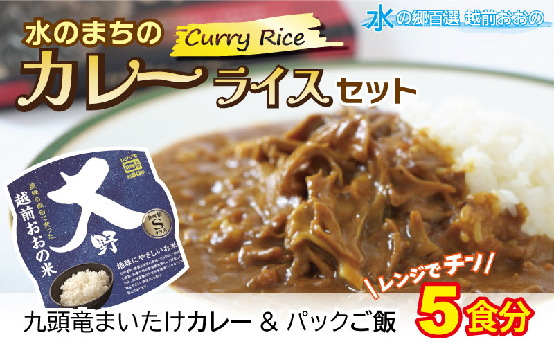 
【先行予約】レンジでチン！水のまちのカレーライスセット【５食分】
