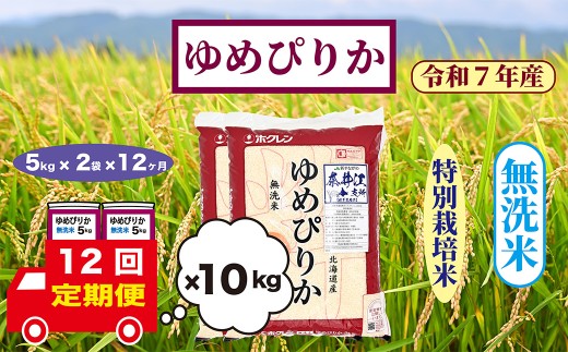 【定期便12回】北海道奈井江町　特別栽培米　ゆめぴりか　10kg【無洗米】