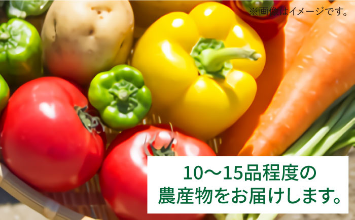 旬 季節 野菜 詰め合わせ セット 糸島野菜 直売所
