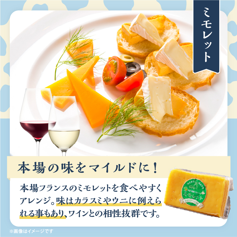 【おおともチーズ工房】《熟成の旨味を堪能!!》熟成セミハードチーズ3種セット_H0003-017